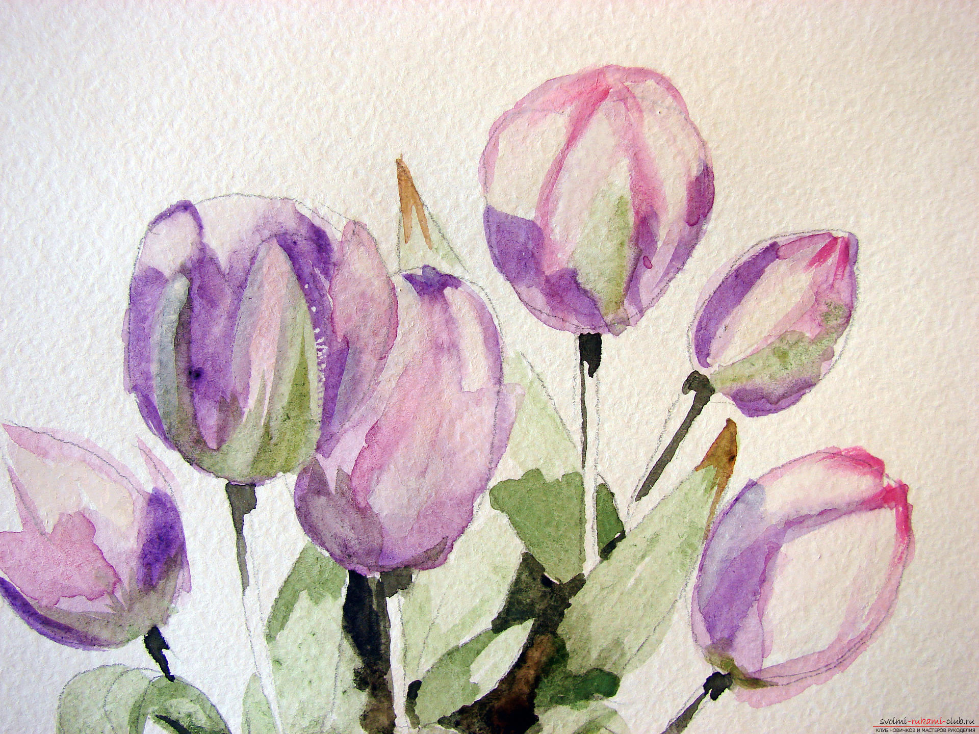 Мастер-класс по рисованию с фото научит как нарисовать цветы, подробно описав как рисуются тюльпаны поэтапно.. Фото №11